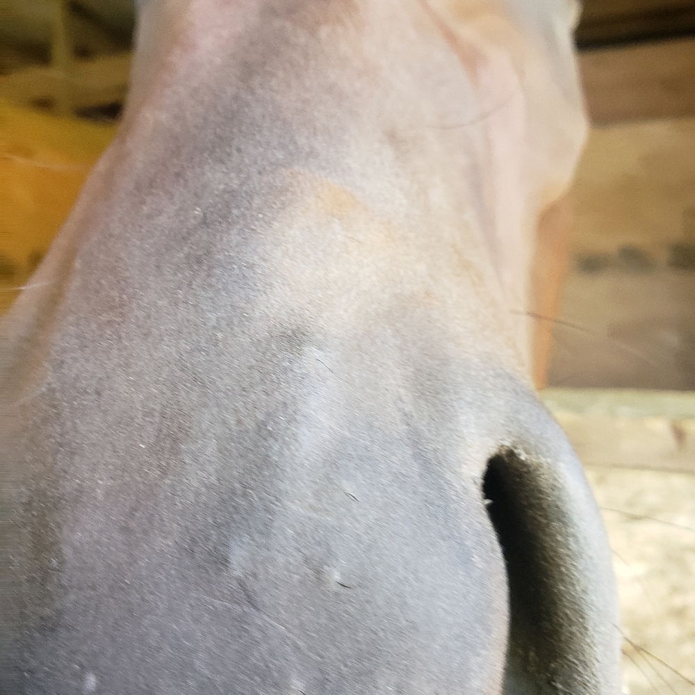 Look for a ton of new clothes being added soon!